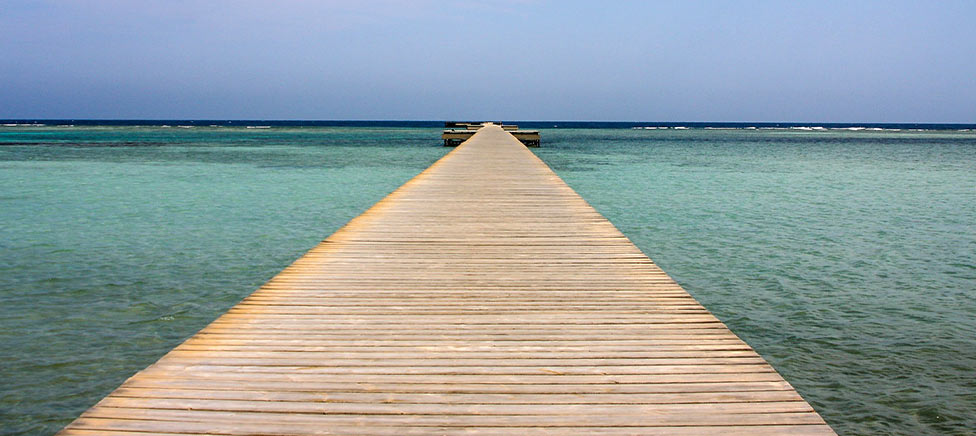 أهم الانشطة في مرسى علم