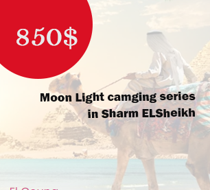 Moonlight Camping Series in EGYPT