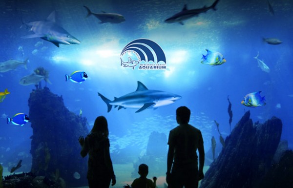 Hurghada Grand Aquarium Ticket