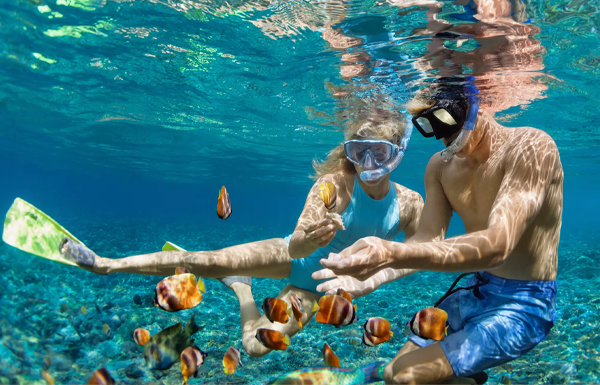 El Gouna Deluxe Snorkeling