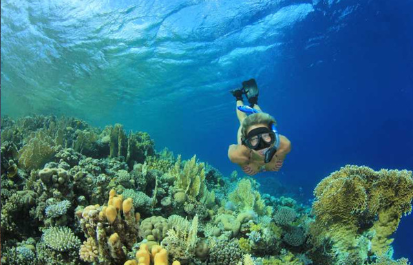 Marsa Mubarak Snorkeling
