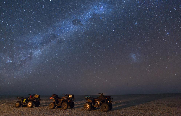 Safari Star watching