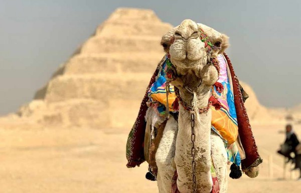 Giza Pyramids, Memphis, Sakkara & Dahshur
